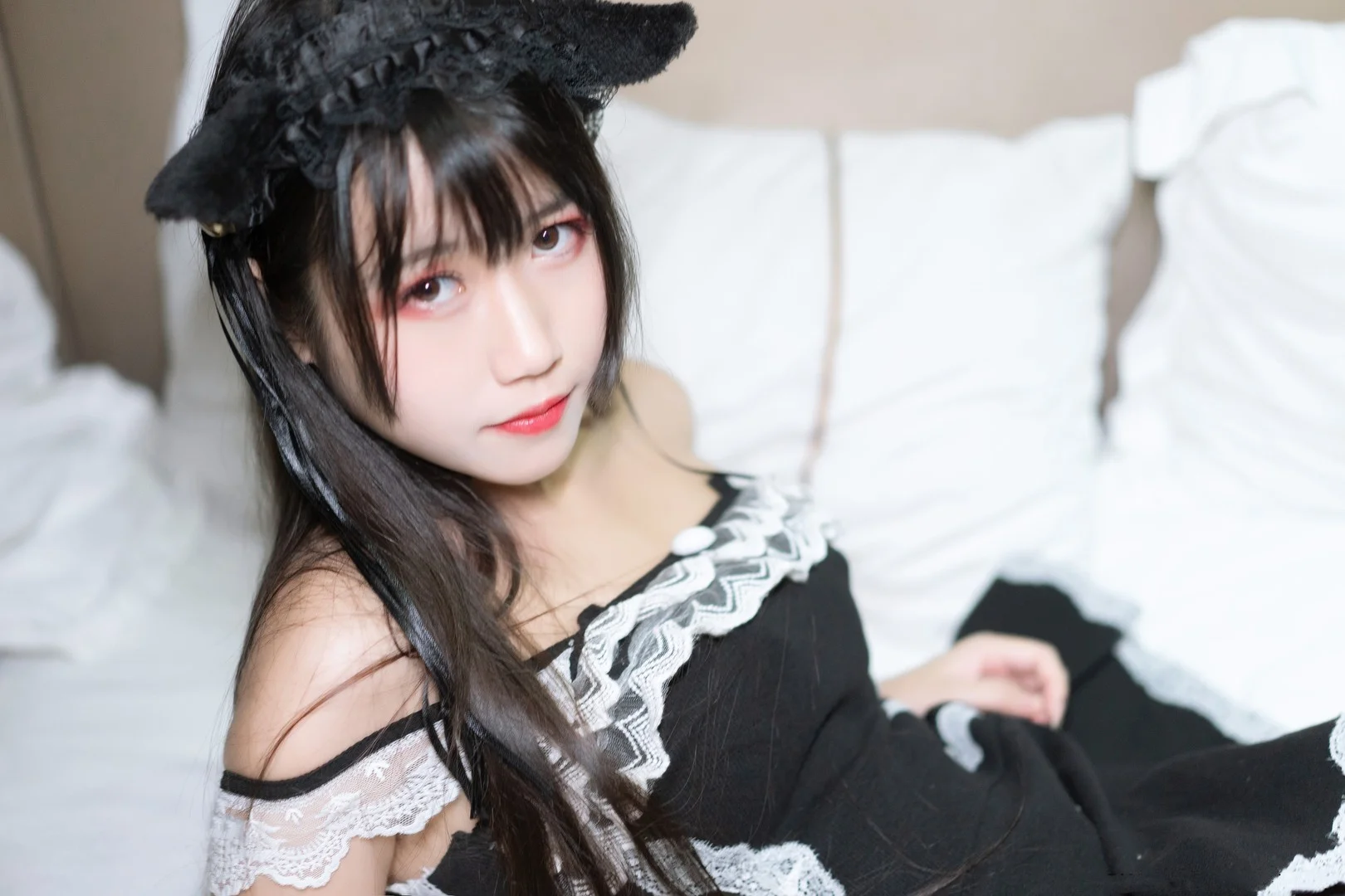 不呆猫写真图片(2)